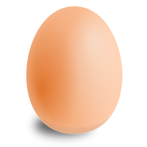 production of eggs